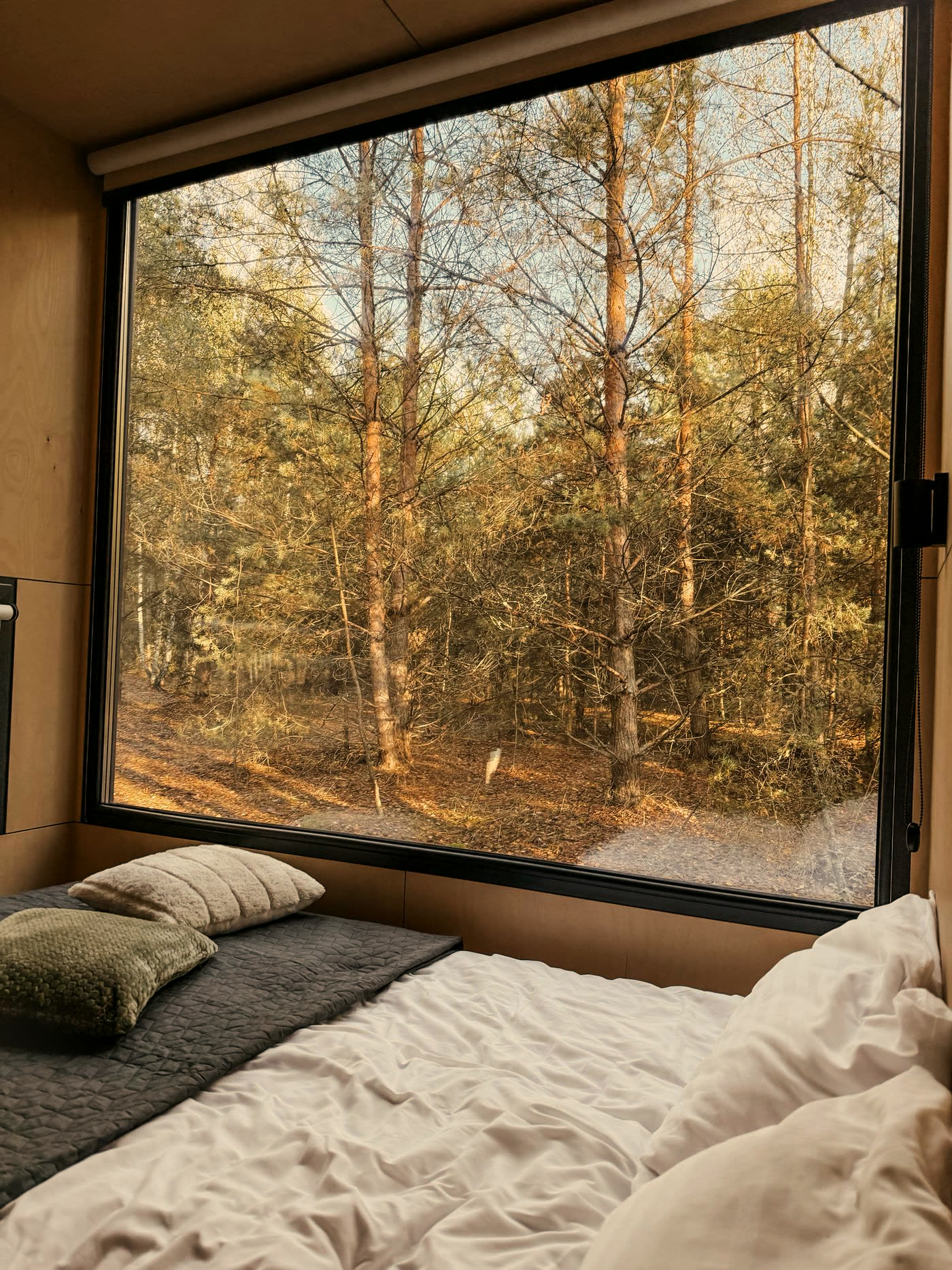 Cabin bedroom with a picture window onto a pine forest